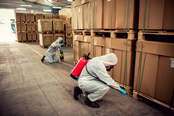 Professional Pest Control in Breckenridge, MI