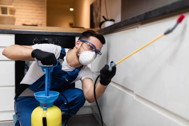 Best Emergency Pest Control  in Breckenridge, MI