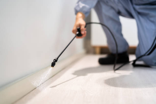 Pest Prevention Services in Breckenridge, MI