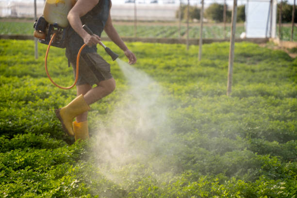 Best Exterminator Services  in Breckenridge, MI