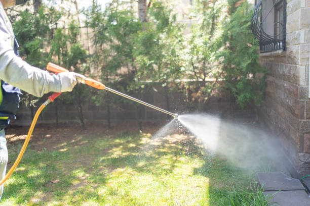 Best Rat Extermination Near Me  in Breckenridge, MI