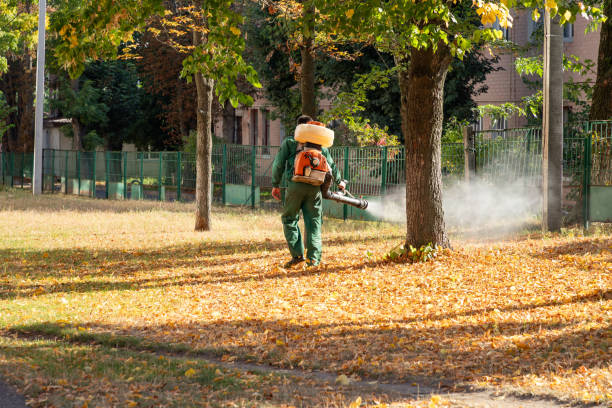 Best Best Pest Control Companies  in Breckenridge, MI