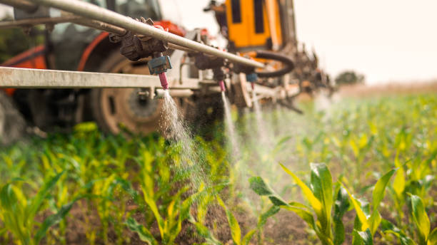 Best Ant Control Services  in Breckenridge, MI